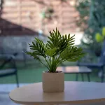 Croisette, With Garden, Air Conditioning * Cannes