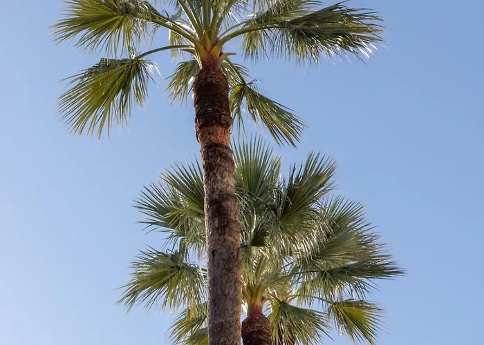 Croisette, With Garden, Air Conditioning *