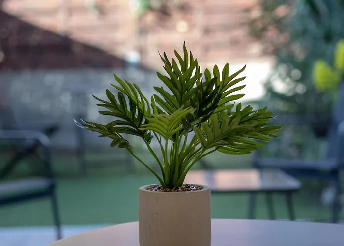 Croisette, With Garden, Air Conditioning * Cannes